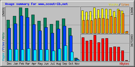 Usage summary for www.scout-ib.net